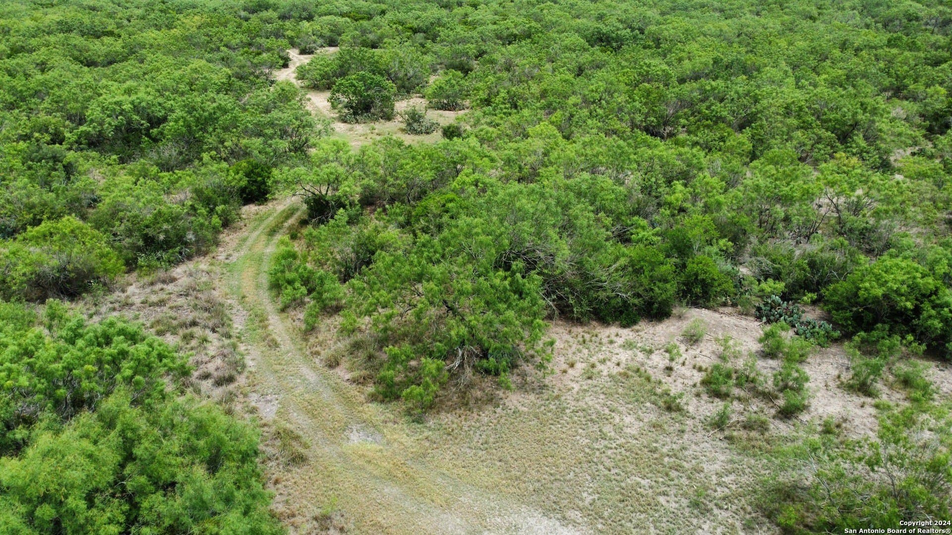 85 acres in Uvalde County - photo 47