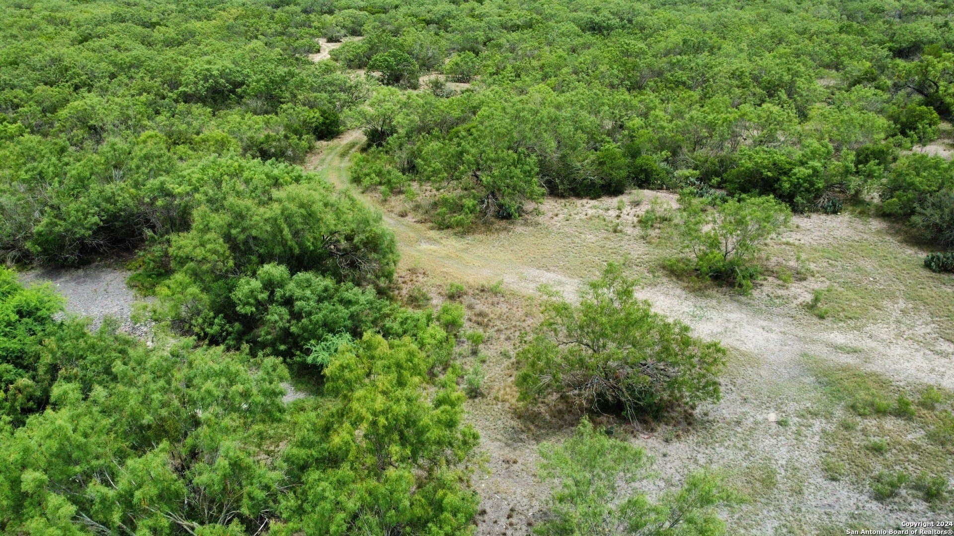 85 acres in Uvalde County - photo 48