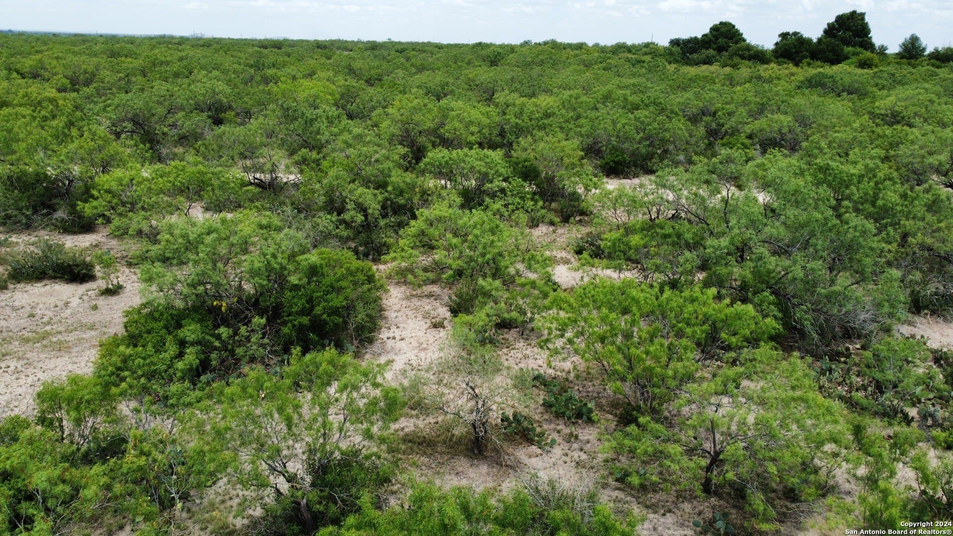 85 acres in Uvalde County - photo 44