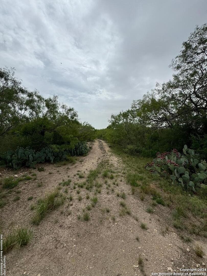 85 acres in Uvalde County - photo 37