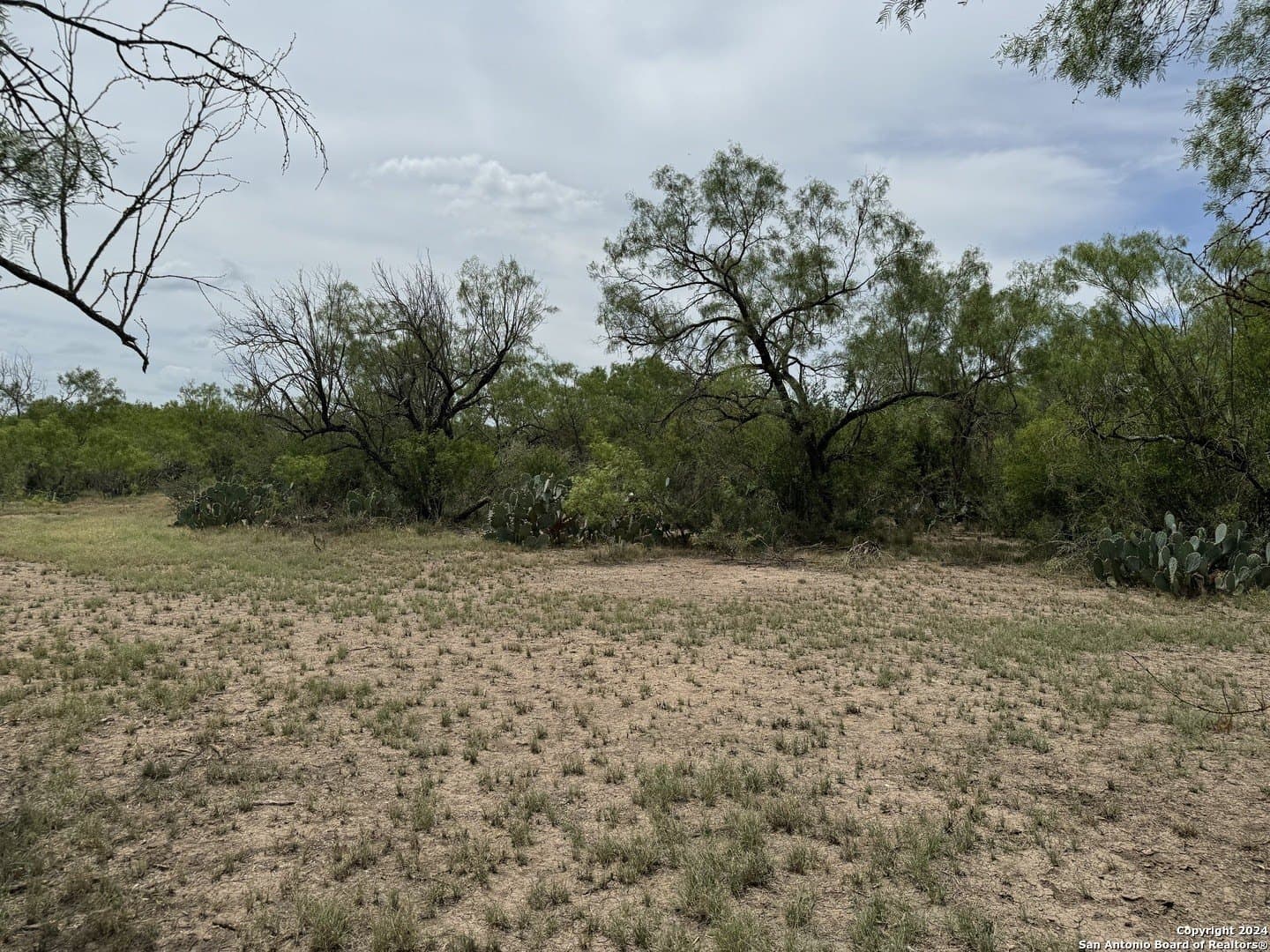 85 acres in Uvalde County - photo 40