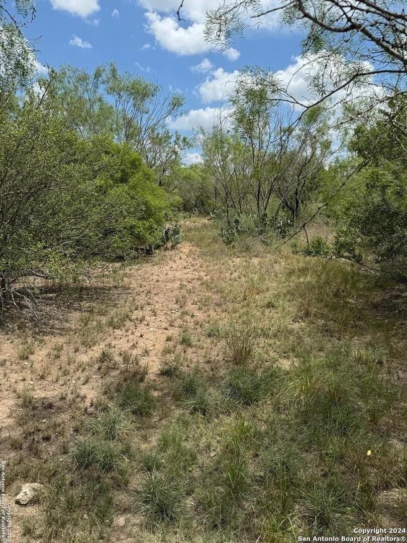 85 acres in Uvalde County - photo 42