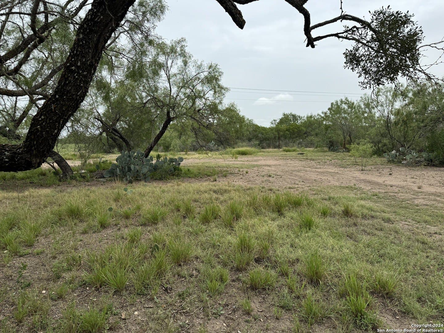 85 acres in Uvalde County - photo 20