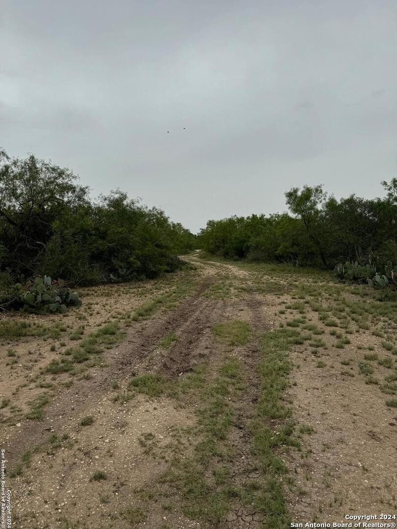 85 acres in Uvalde County - photo 38
