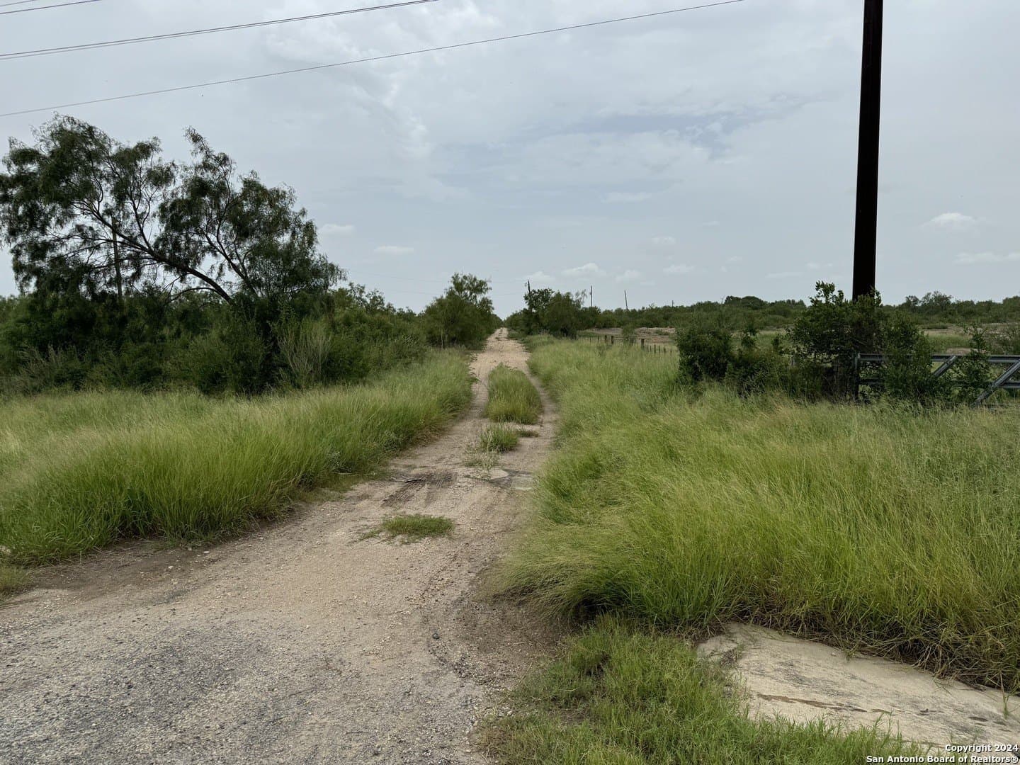 85 acres in Uvalde County - photo 12