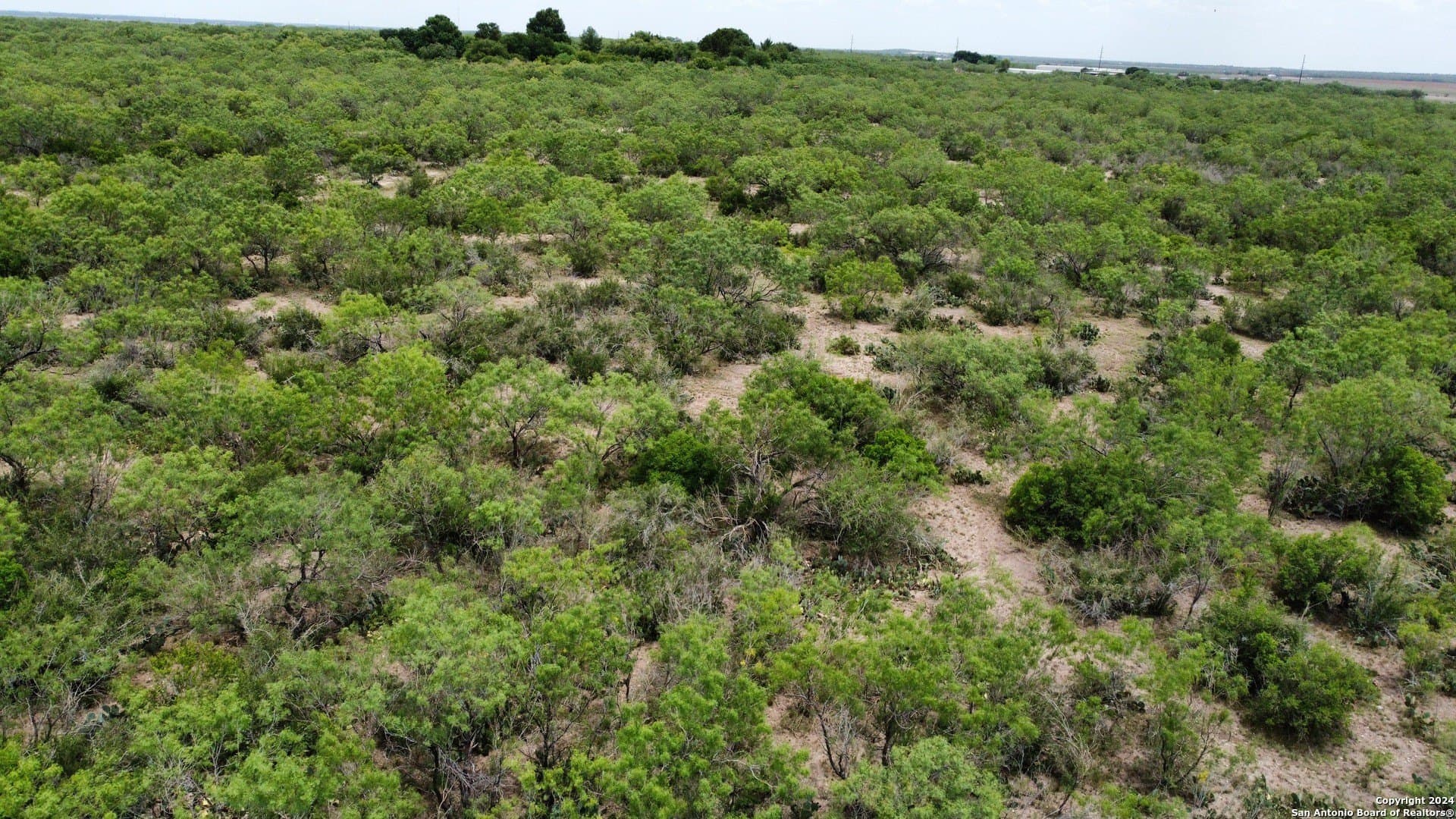 85 acres in Uvalde County - photo 46