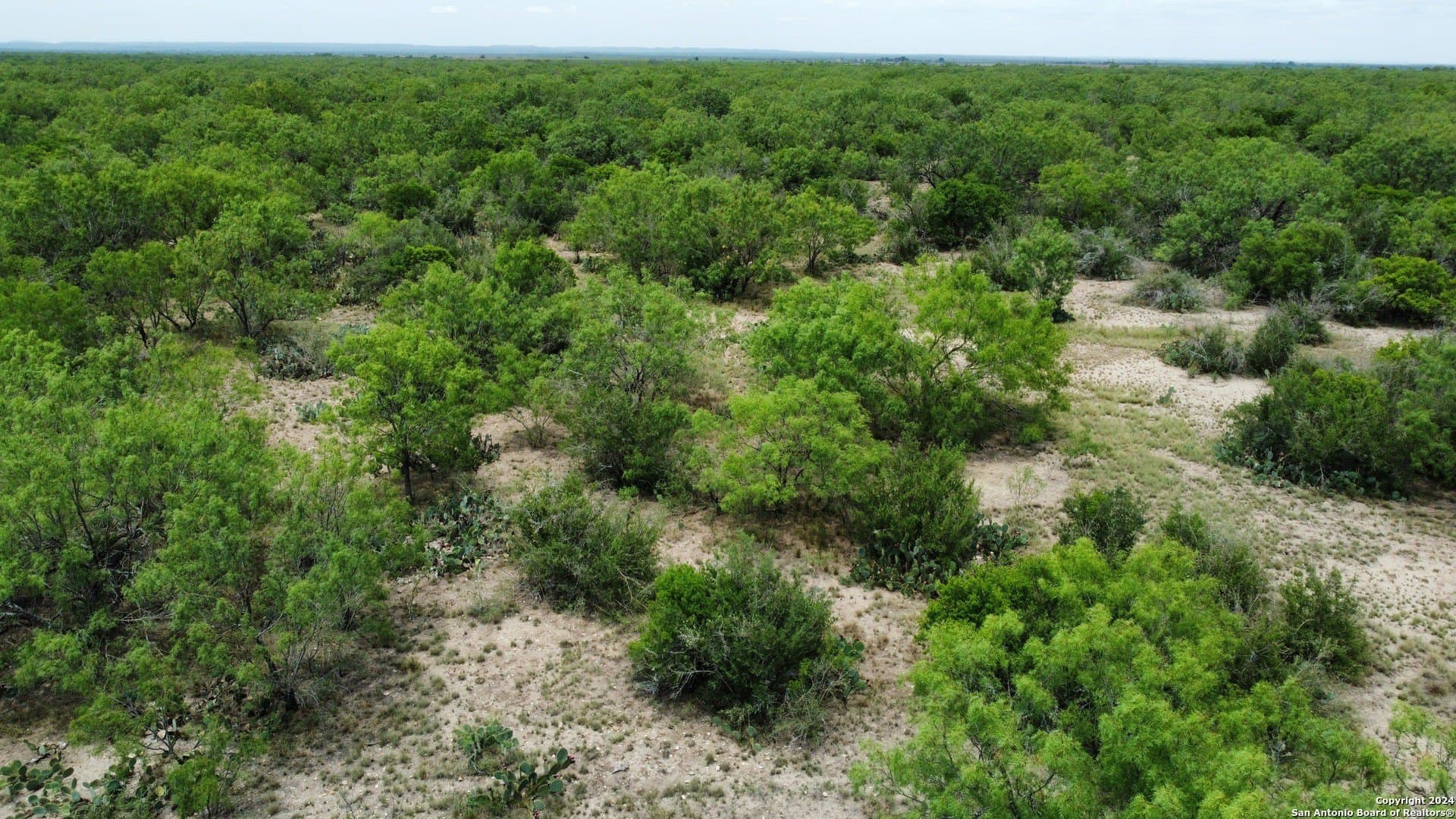 85 acres in Uvalde County - photo 45