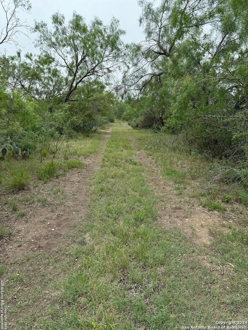 85 acres in Uvalde County - photo 31
