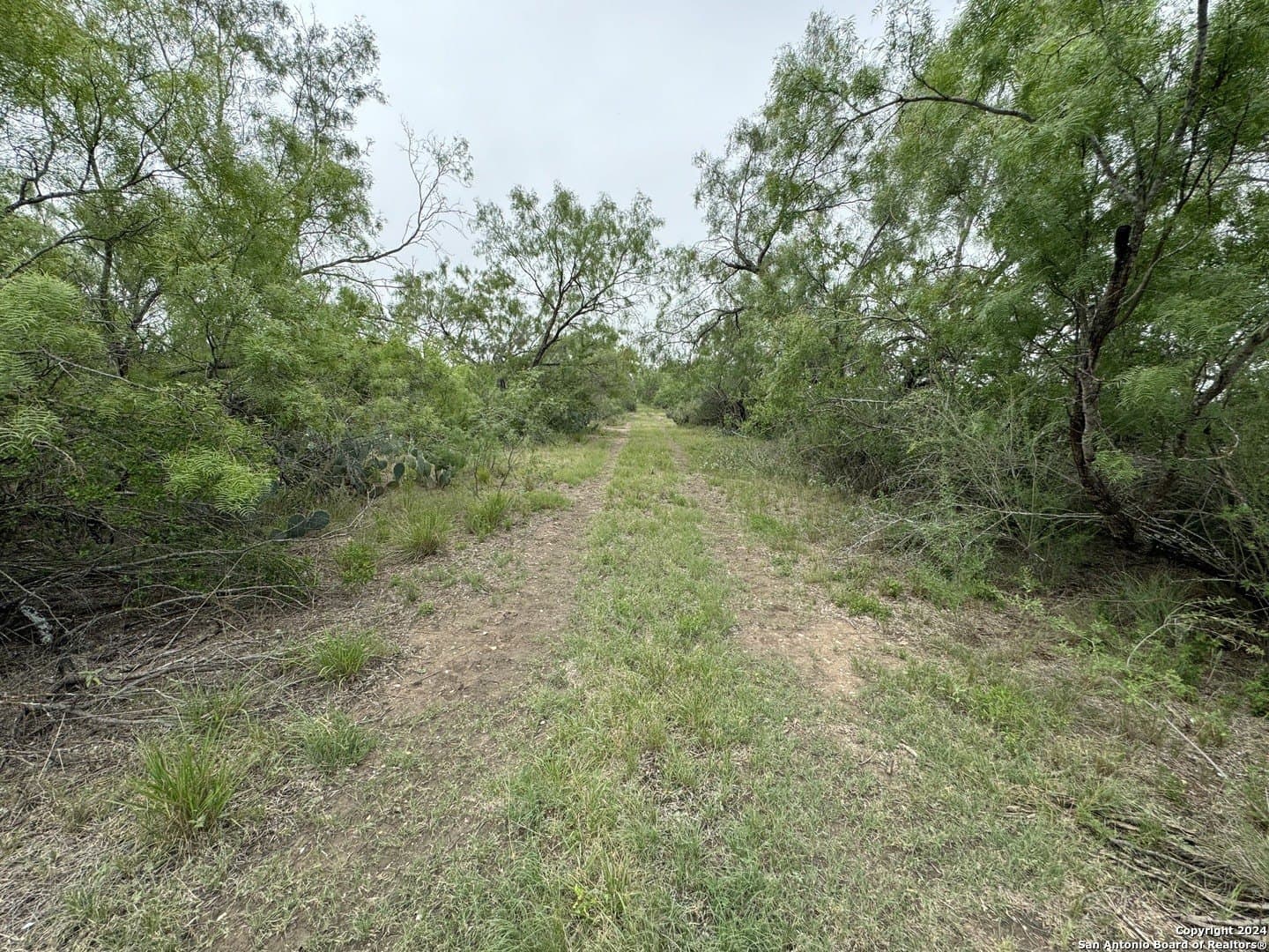 85 acres in Uvalde County - photo 36