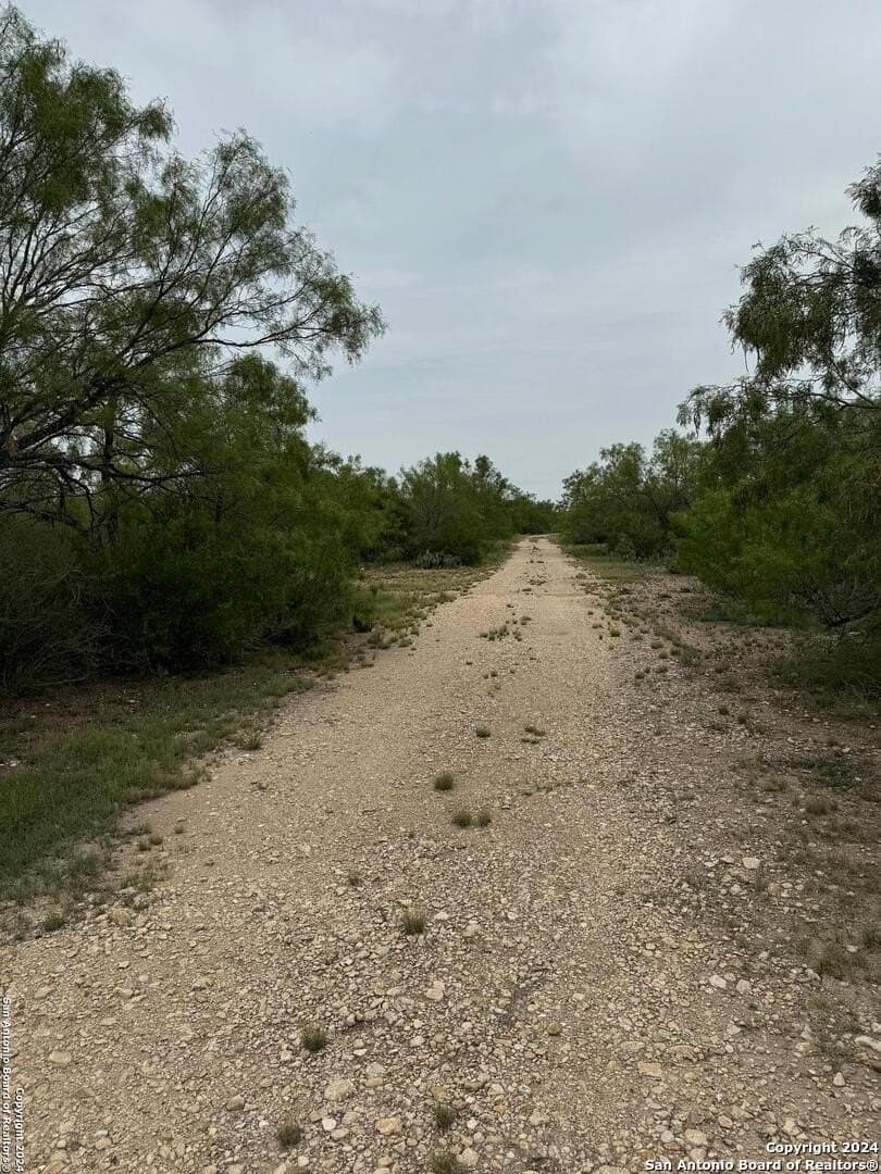 85 acres in Uvalde County - photo 15