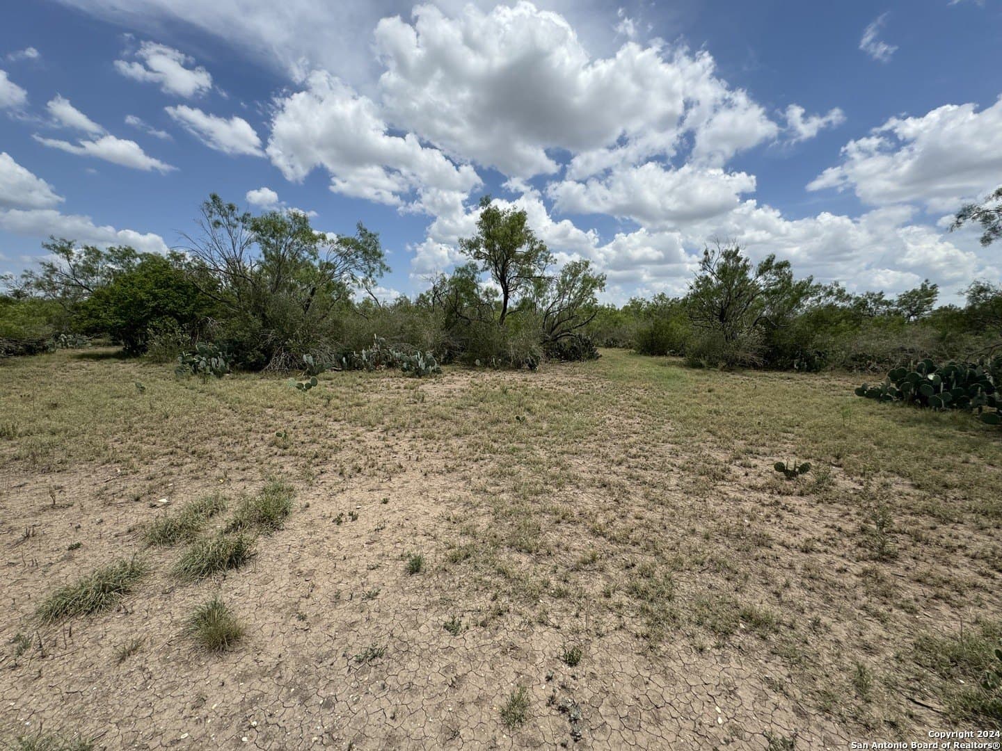 85 acres in Uvalde County - photo 41