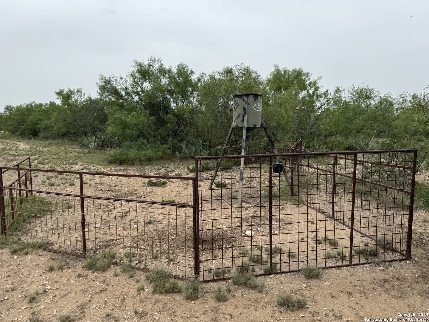 85 acres in Uvalde County - photo 26