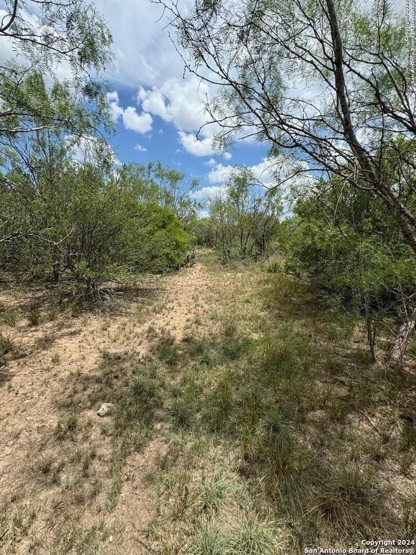 85 acres in Uvalde County - photo 39