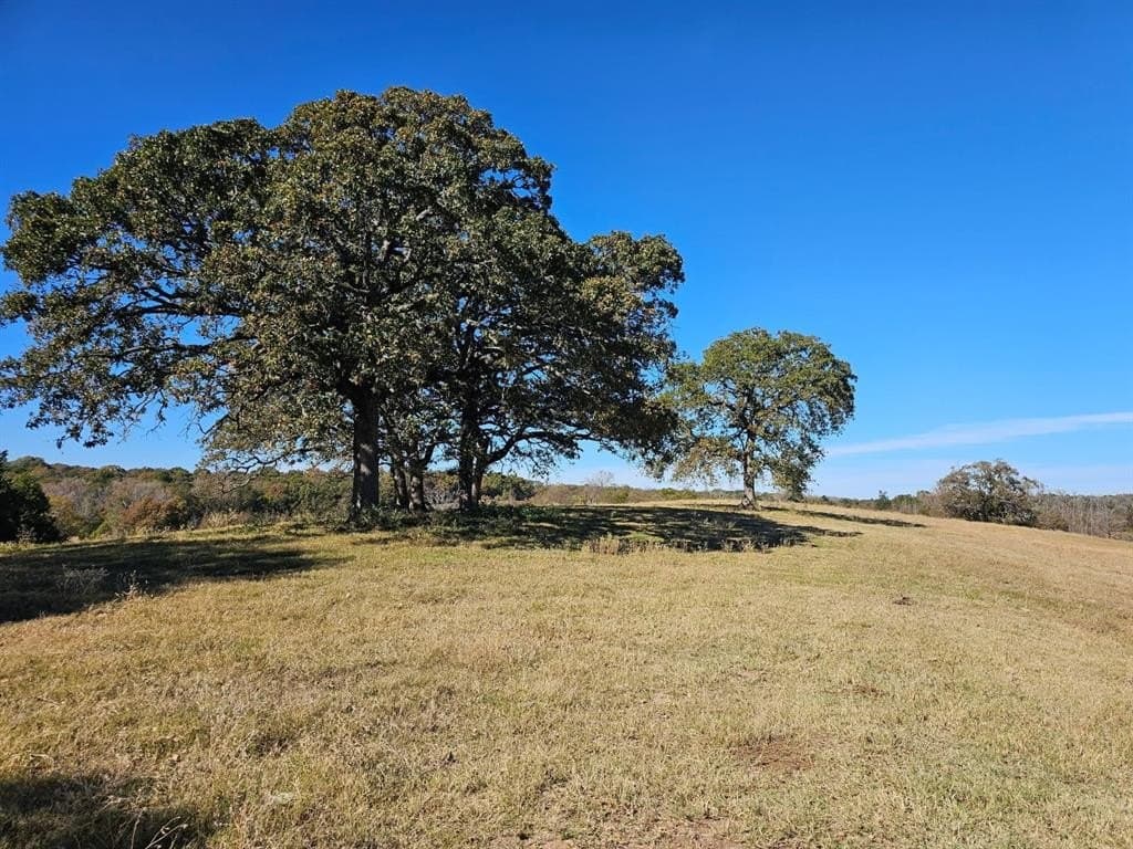 60.55 acres in Henderson County - photo 4