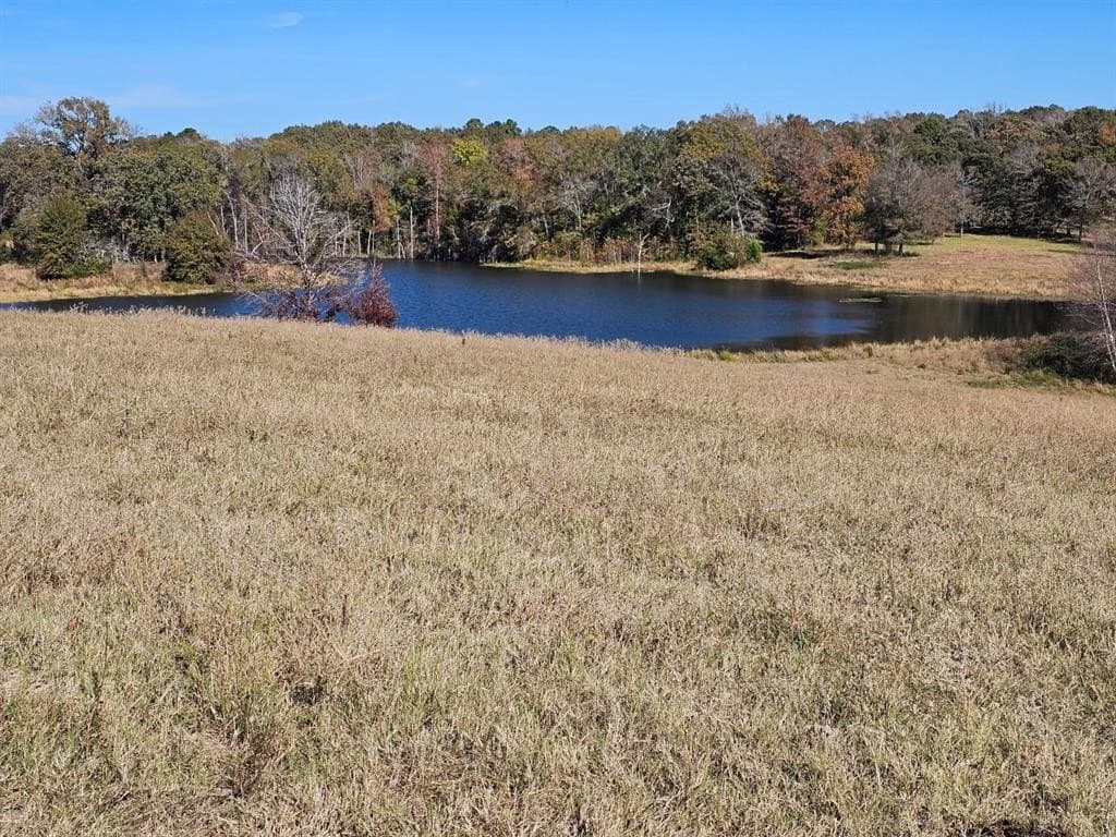 60.55 acres in Henderson County - photo 3