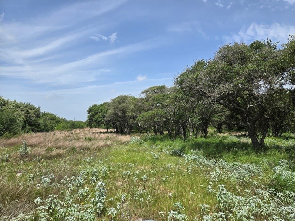 21.59 acres in Texas County - photo 3