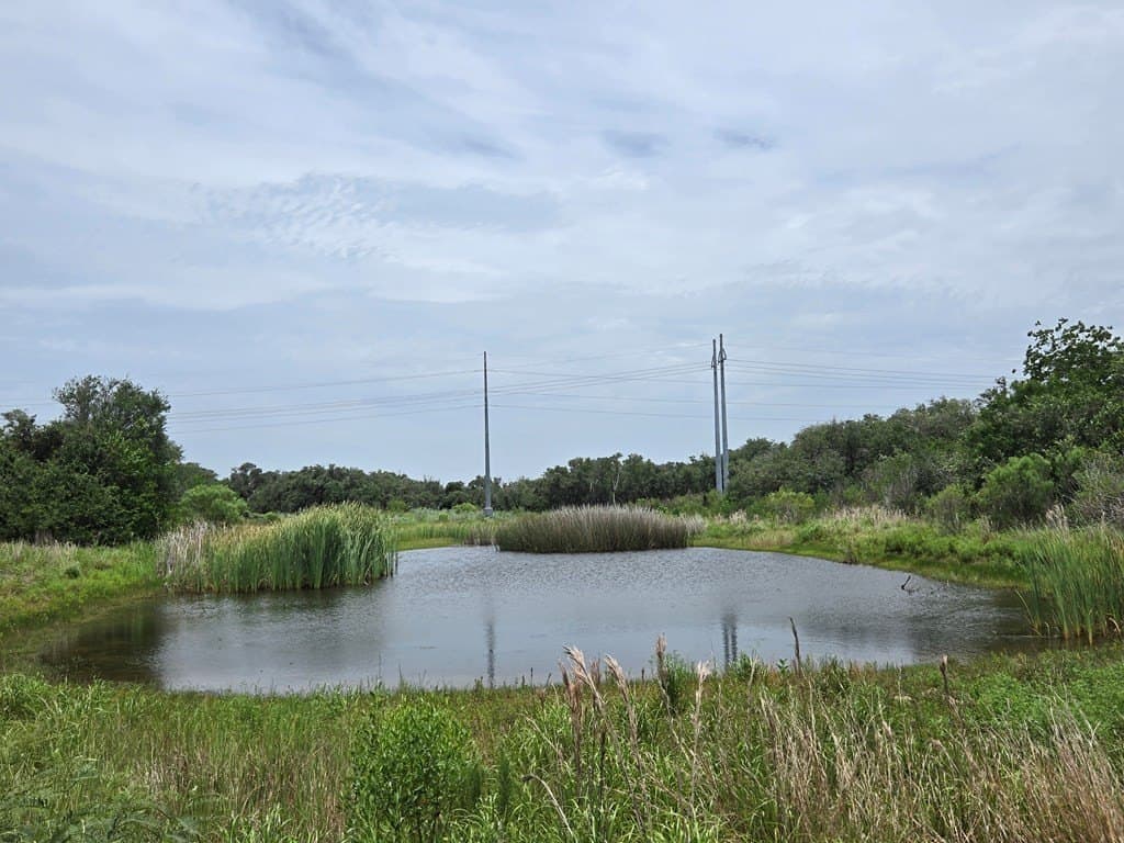 21.59 acres in Texas County - photo 5