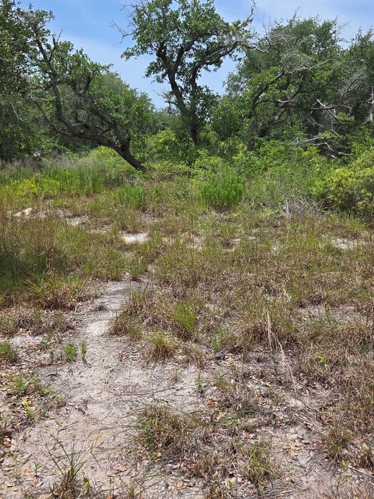 21.59 acres in Texas County - photo 7