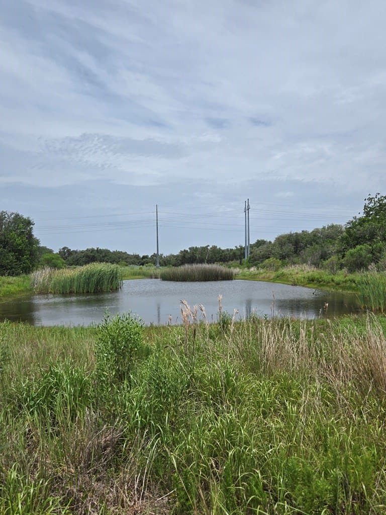 21.59 acres in Texas County - photo 4