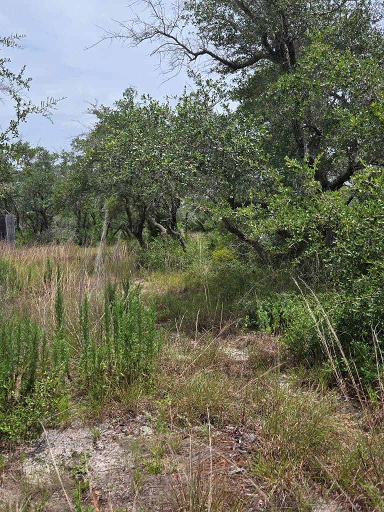 21.59 acres in Texas County - photo 8