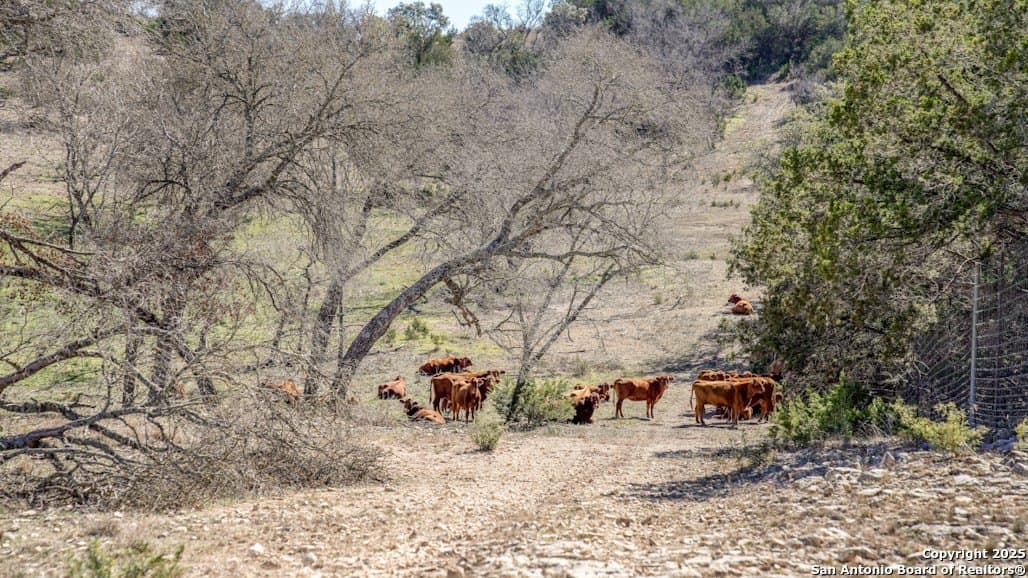 508 acres in Kerr County - photo 36