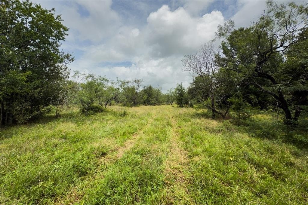 2.92 acres in Falls County - photo 5
