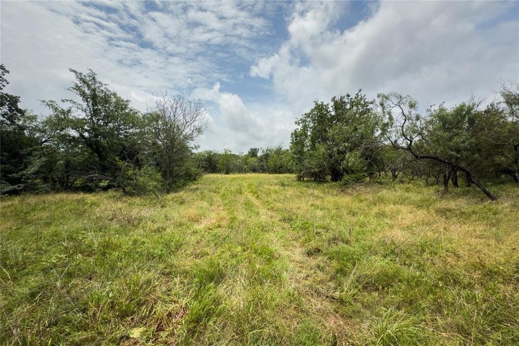 2.92 acres in Falls County - photo 7