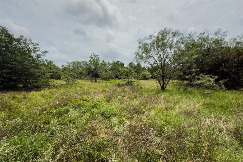 2.92 acres in Falls County - photo 3