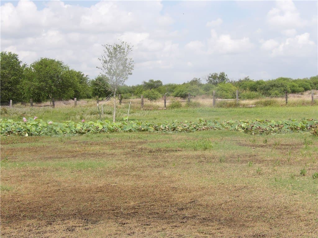 25 acres in Refugio County - photo 14