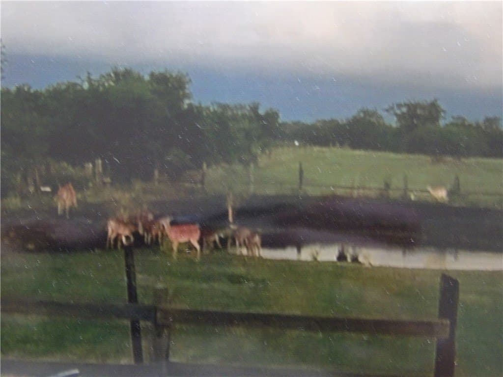 25 acres in Refugio County - photo 17