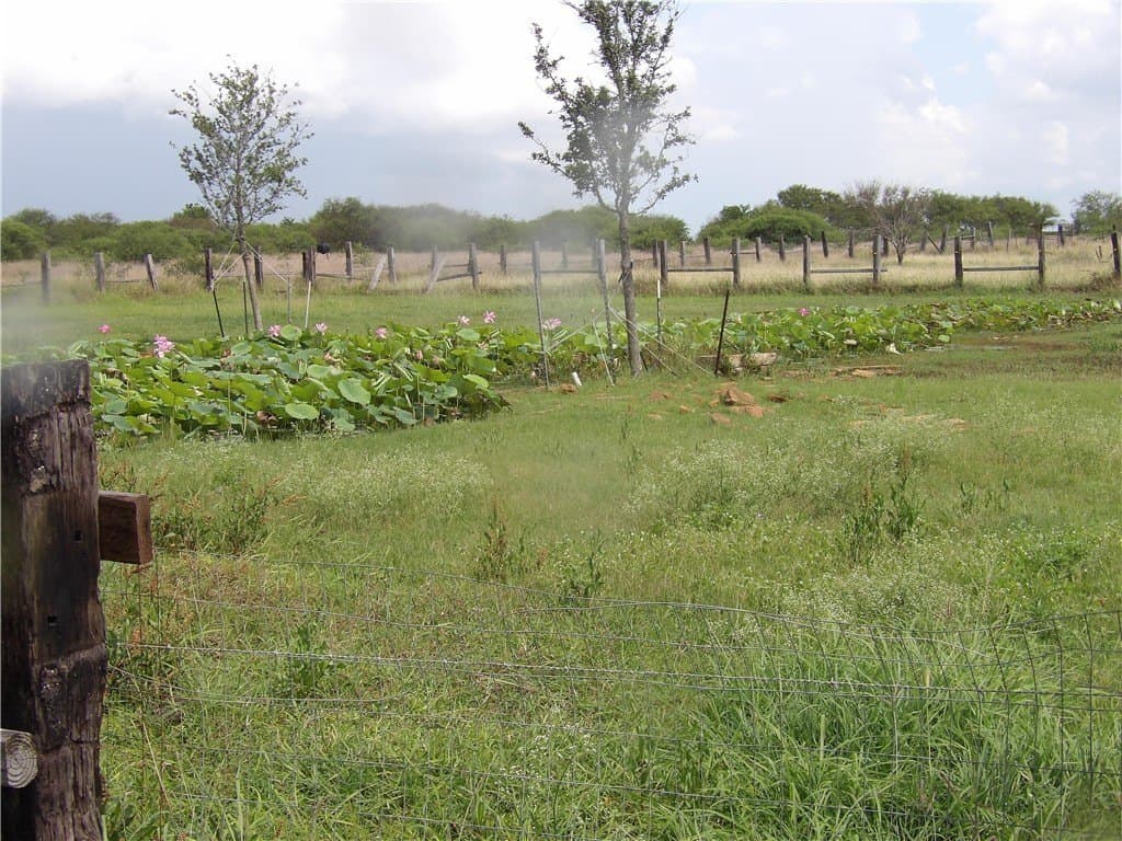 25 acres in Refugio County - photo 22