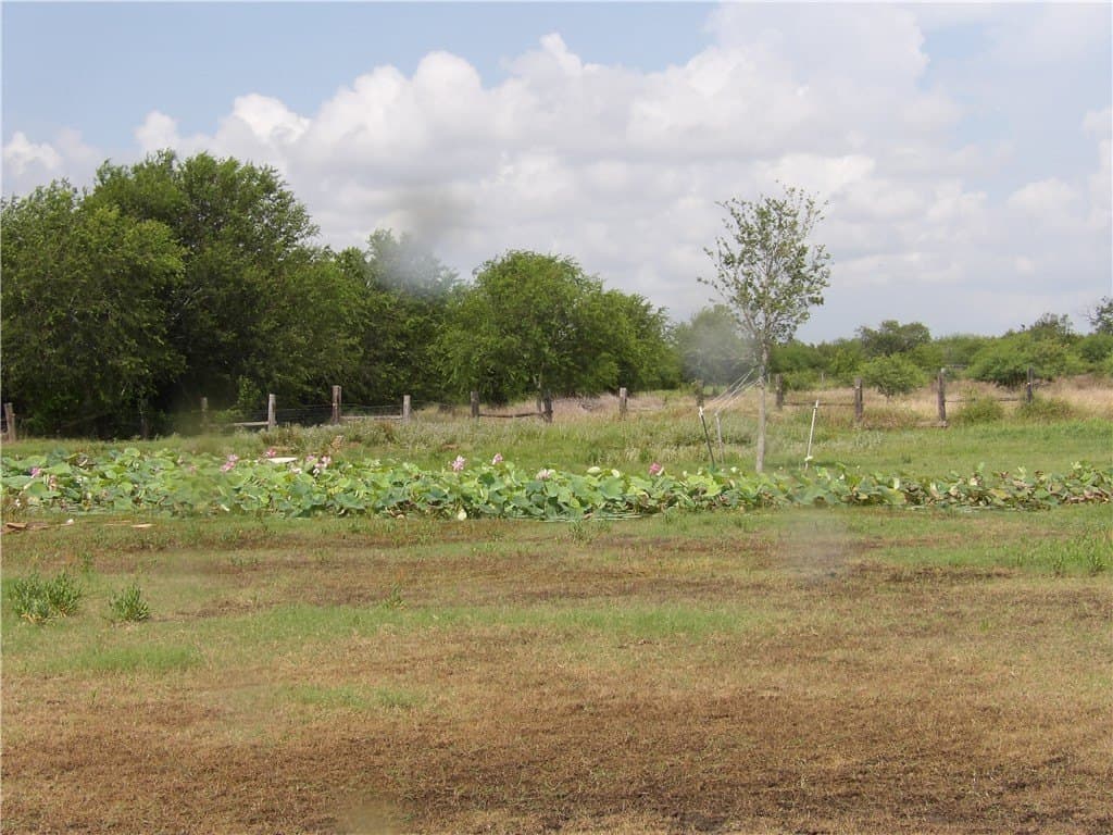 25 acres in Refugio County - photo 13