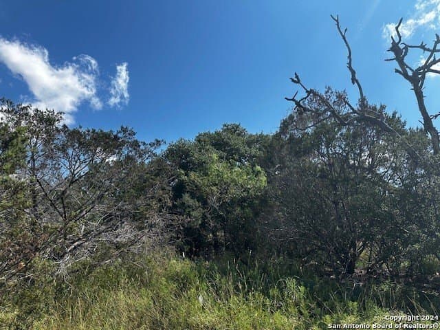 91.36 acres in Edwards County - photo 3