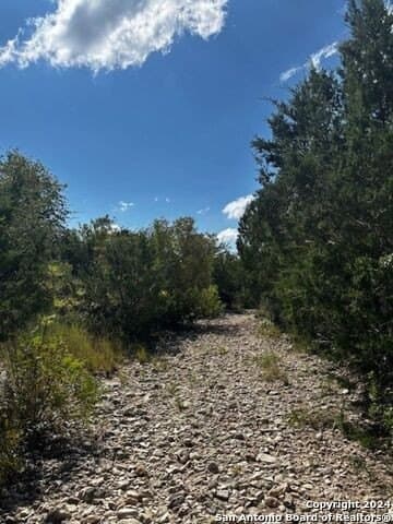 91.36 acres in Edwards County - photo 9