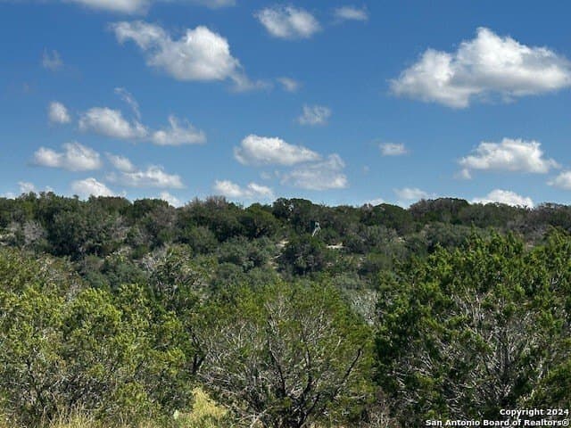 91.36 acres in Edwards County - photo 4