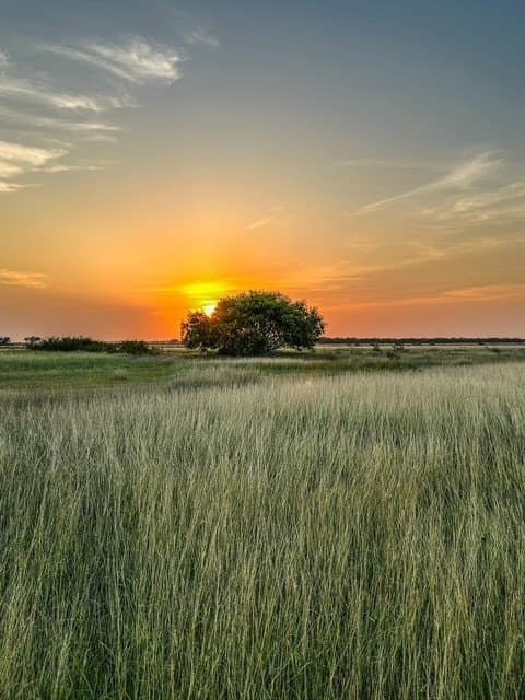 22.39 acres in Kleberg County - photo 11