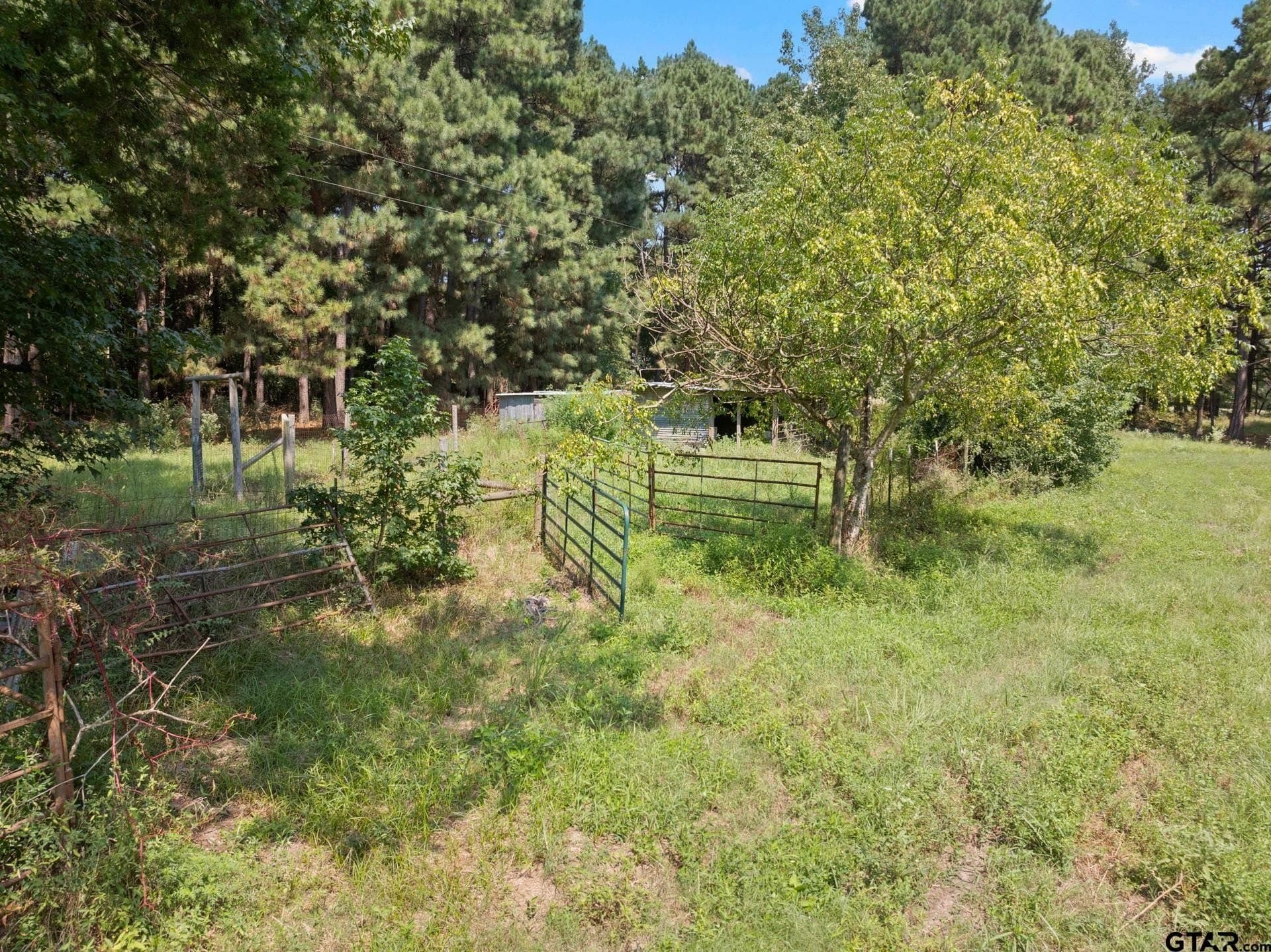 16.25 acres in Upshur County - photo 35