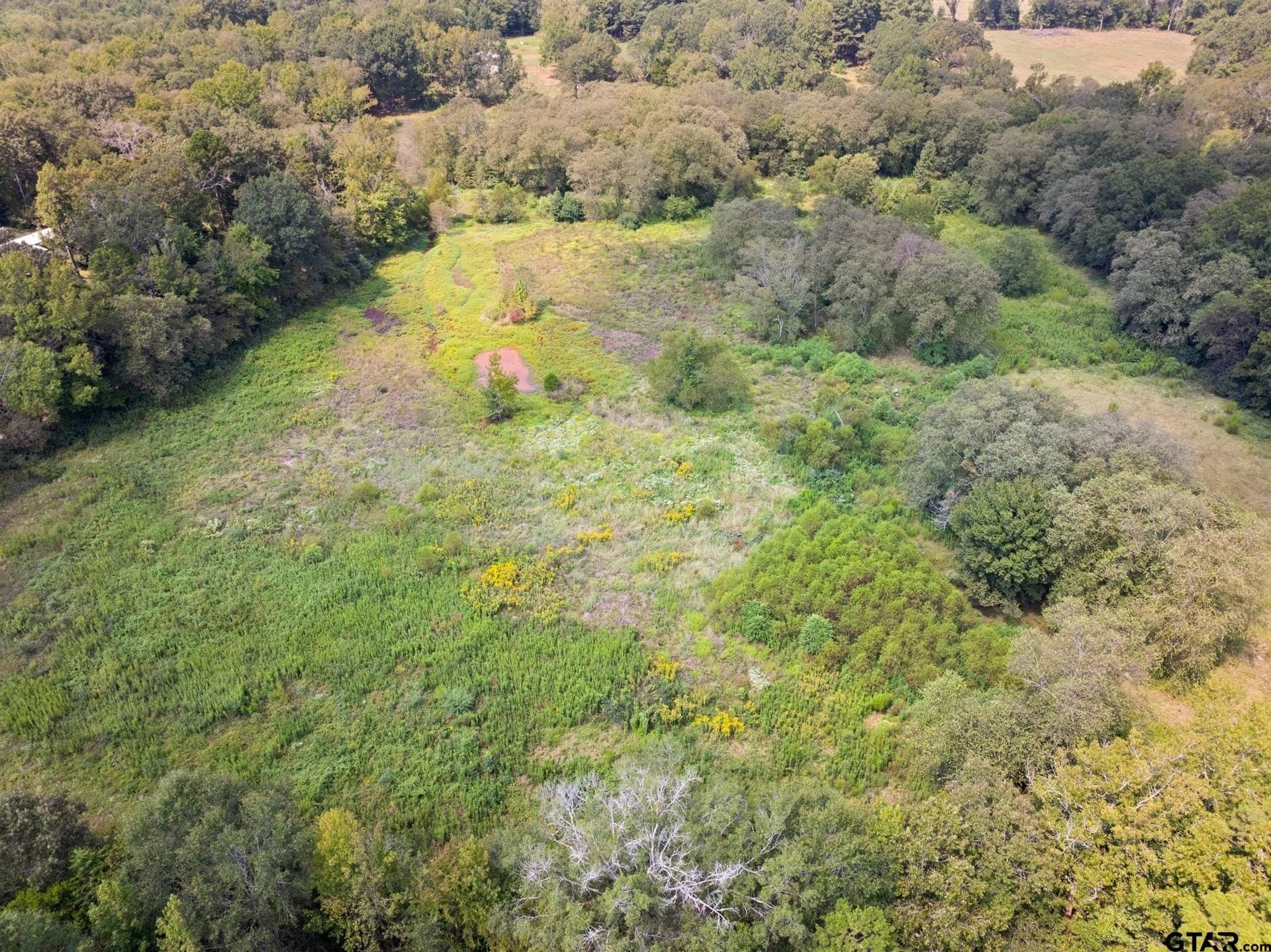 16.25 acres in Upshur County - photo 48