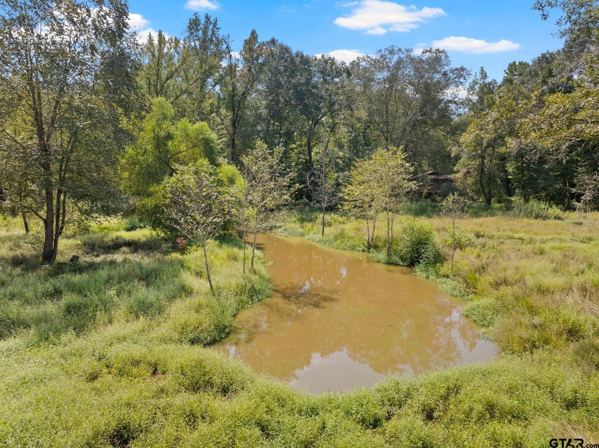 16.25 acres in Upshur County - photo 41