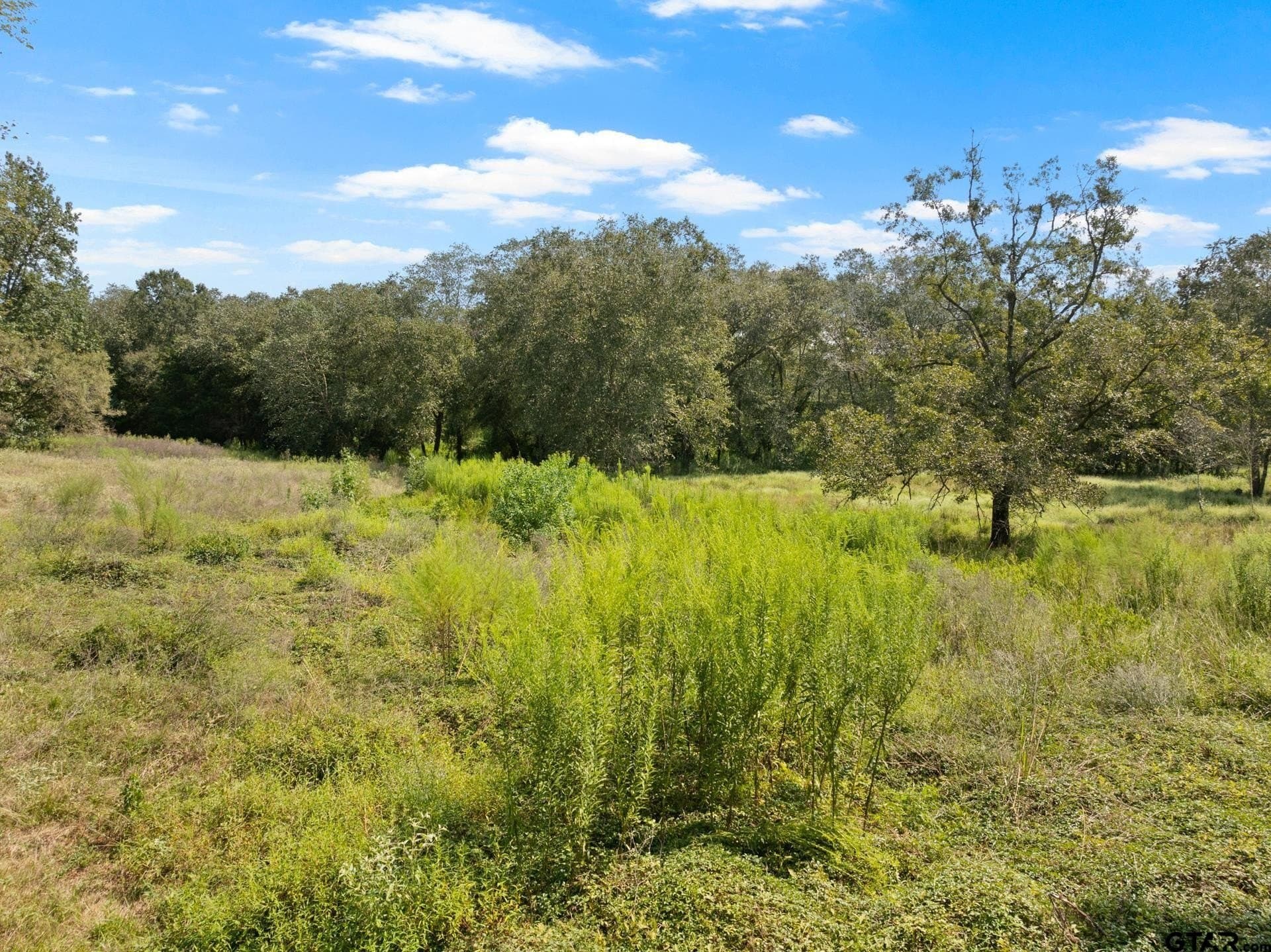 16.25 acres in Upshur County - photo 33