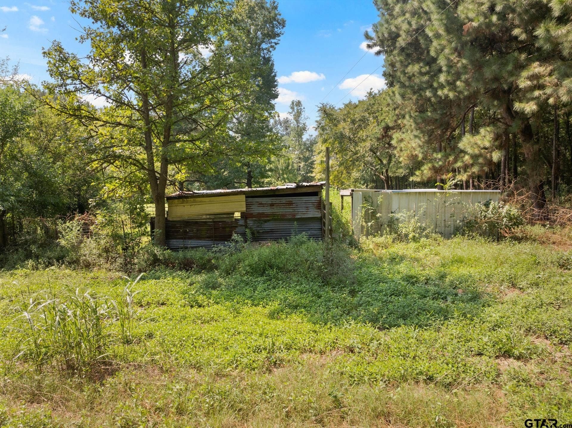 16.25 acres in Upshur County - photo 38