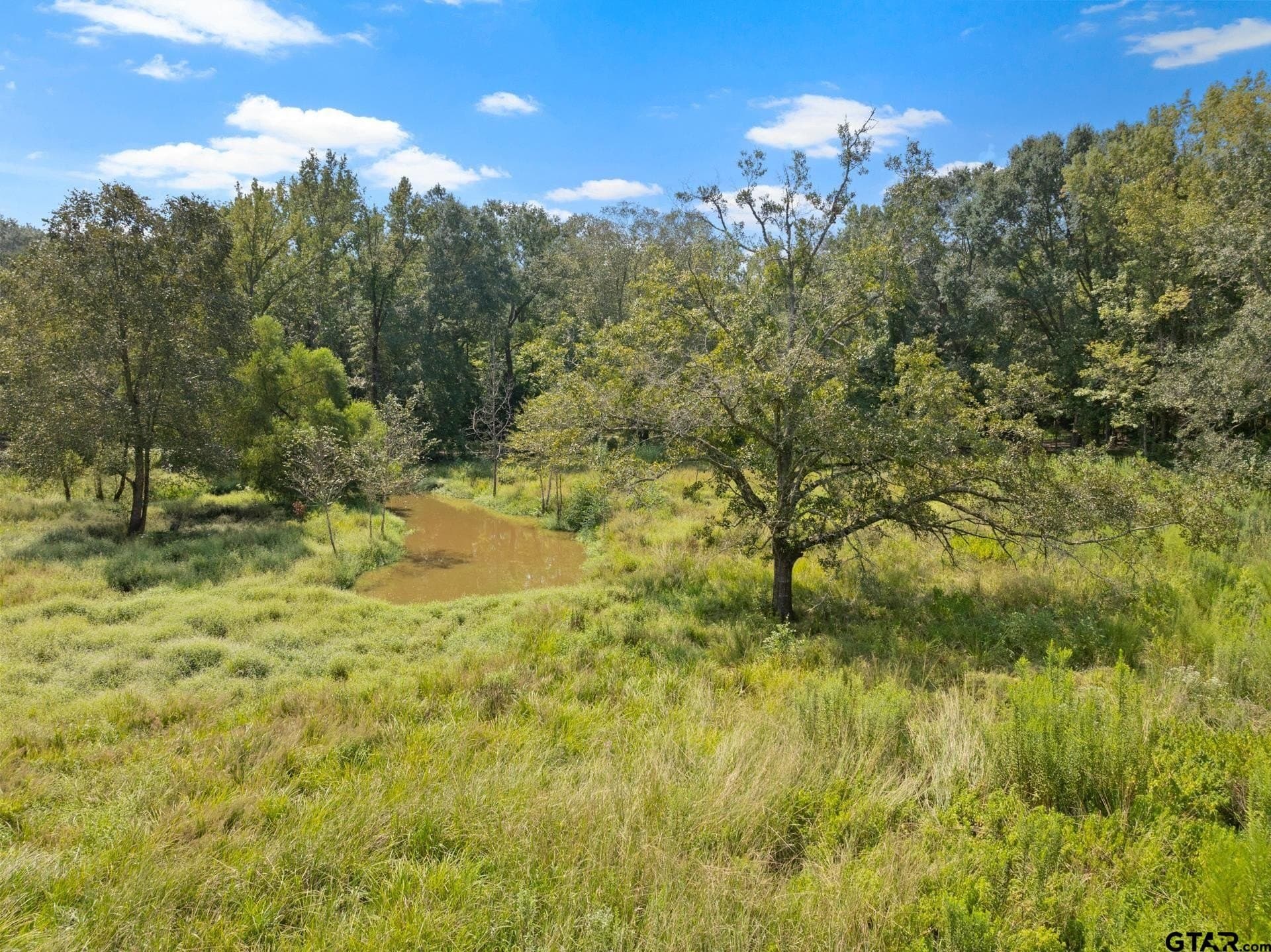 16.25 acres in Upshur County - photo 40