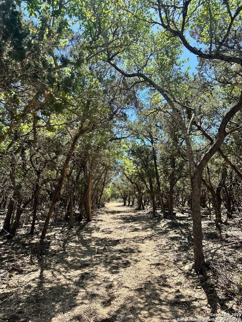 1.03 acres in Comal County - photo 2