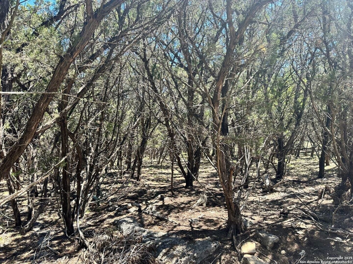 1.03 acres in Comal County - photo 5