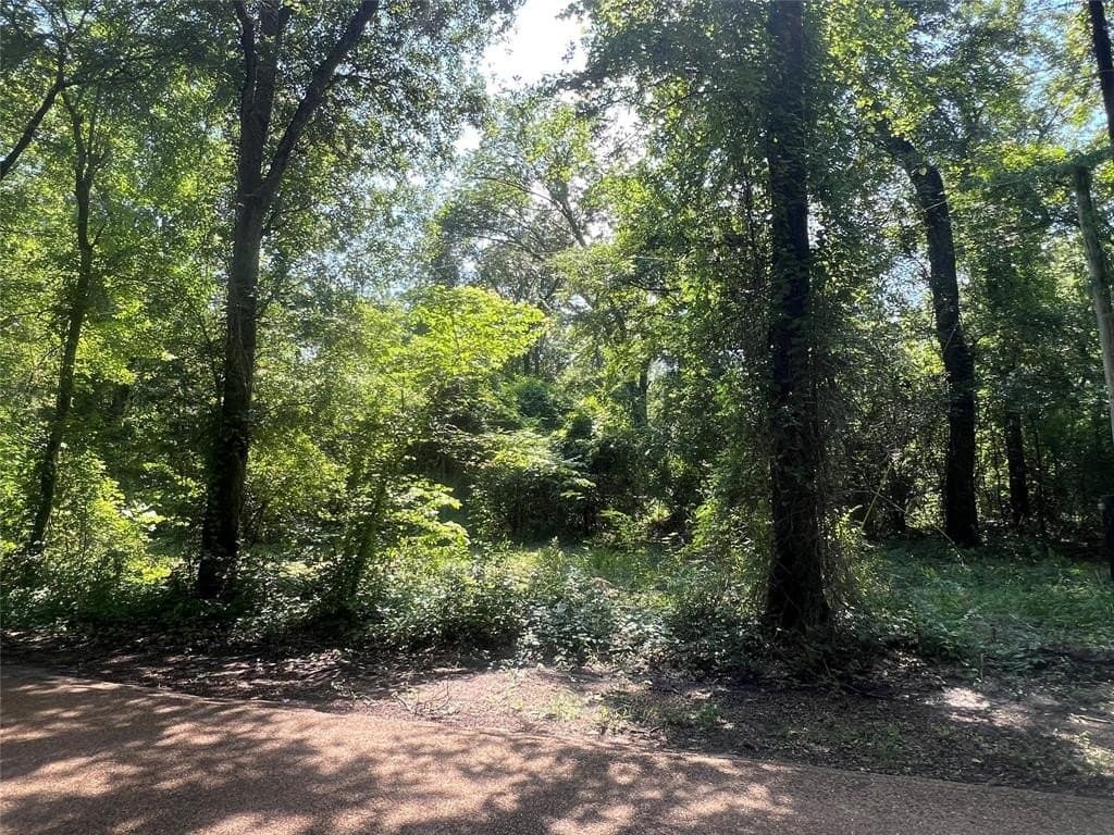 12.5 acres in Van Zandt County - photo 5