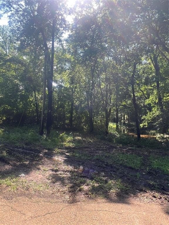 12.5 acres in Van Zandt County - photo 4