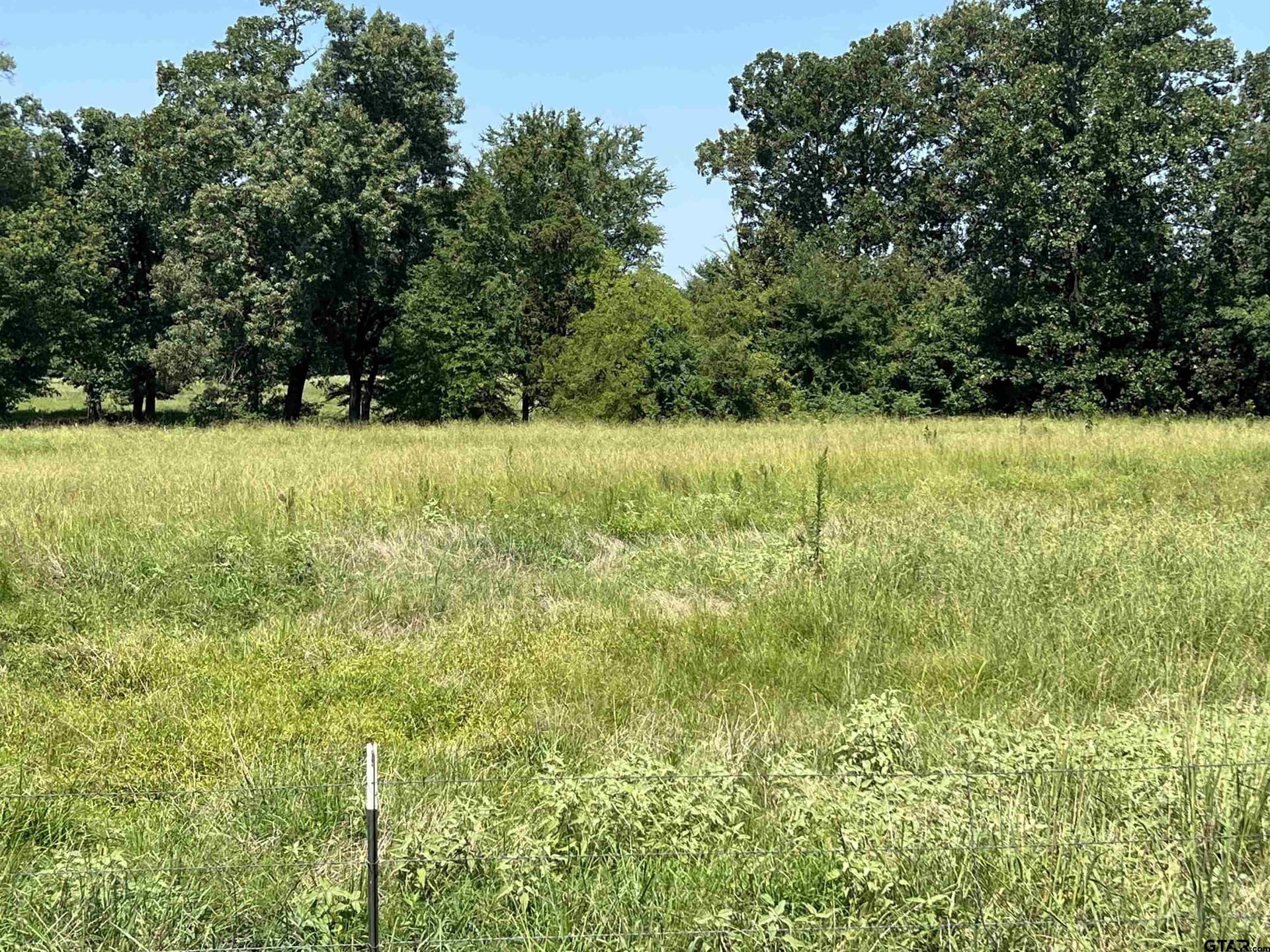 10 acres in Titus County - photo 6