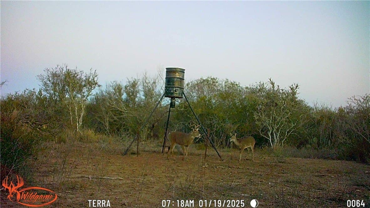 13.86 acres in Duval County - photo 2