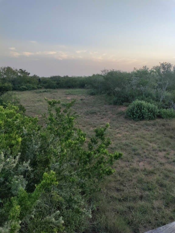 13.86 acres in Duval County - photo 6