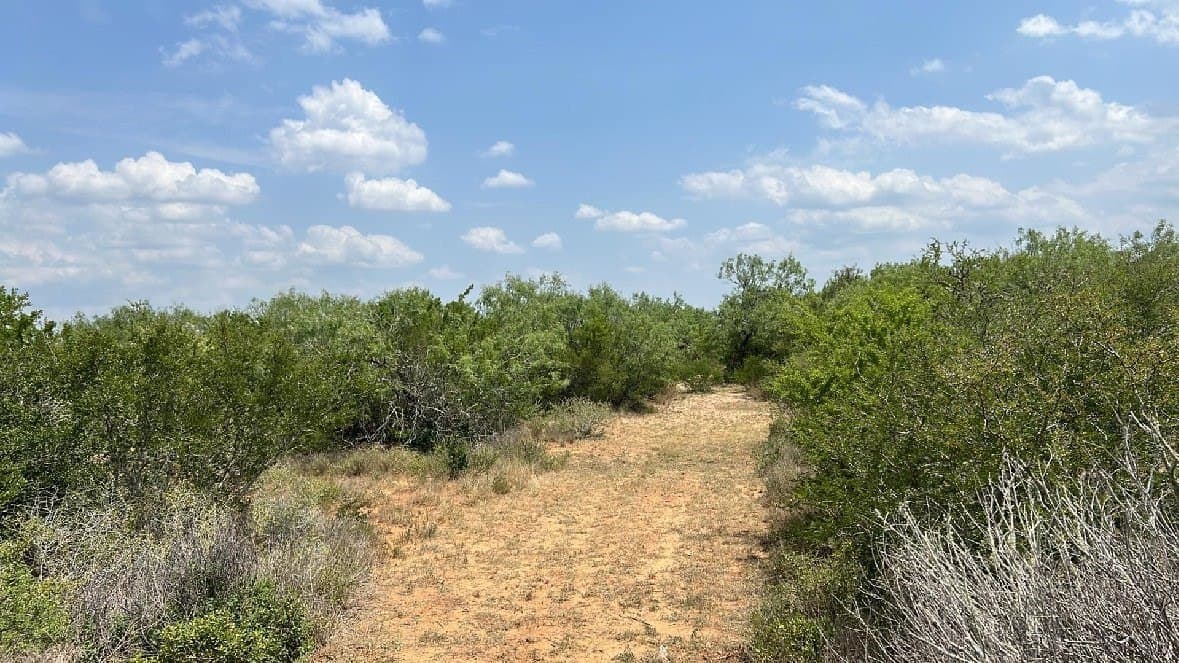13.86 acres in Duval County - photo 3